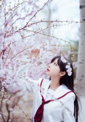 欧美运动风高清壁纸_1080高清电影在线